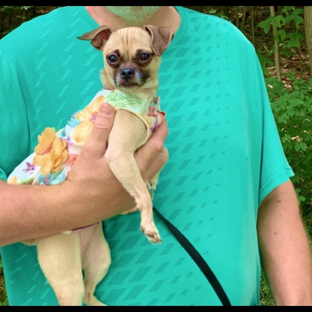 Meet your Posher, Gin